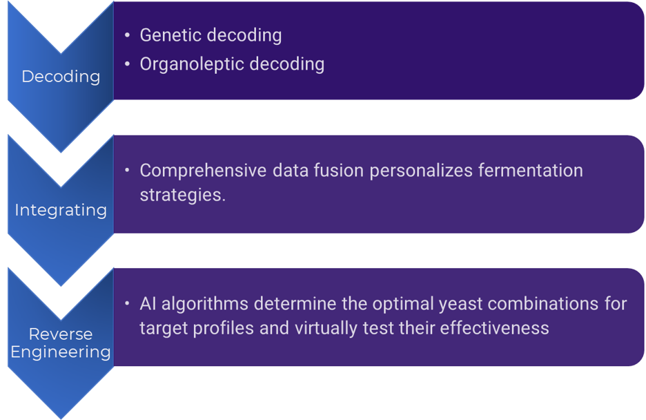 EnoGen AI Science Flow