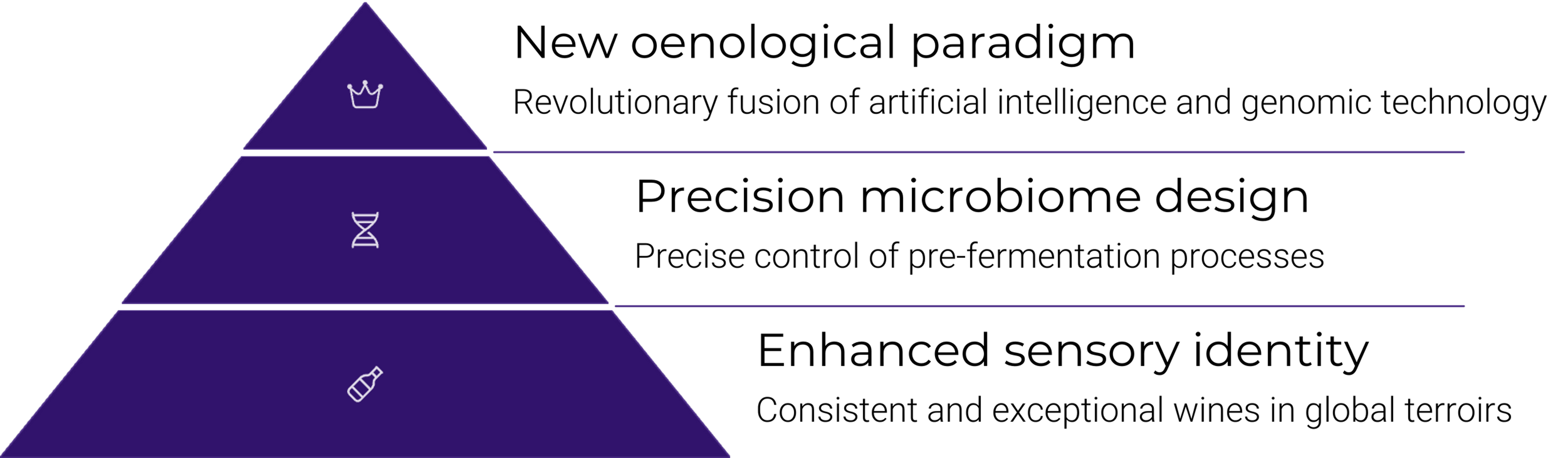 EnoGen Vision Pyramid